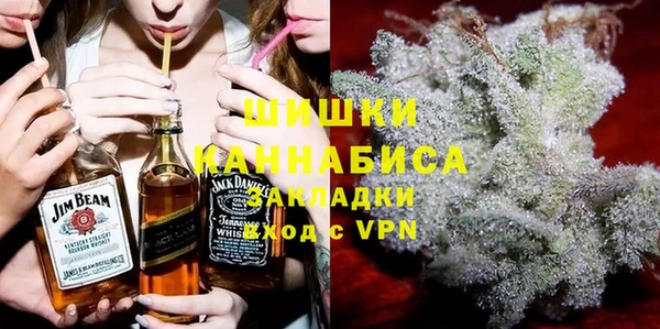 прущие грибы Алзамай