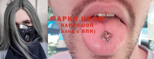 прущие грибы Алзамай