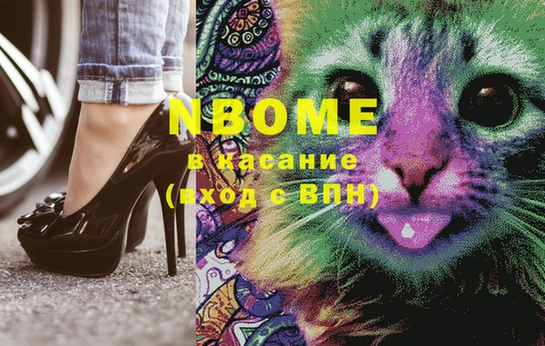 прущие грибы Алзамай