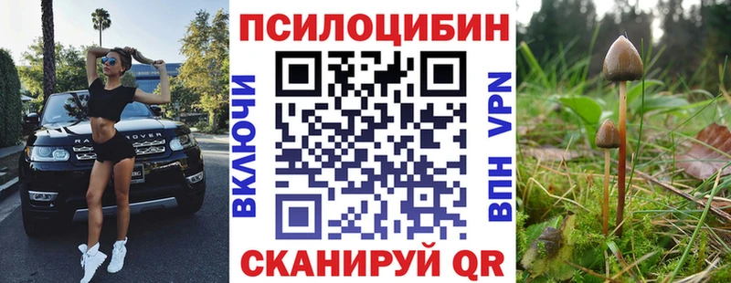 магазин продажи наркотиков  Наволоки  Псилоцибиновые грибы Magic Shrooms 